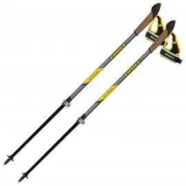Палиці для скандинавської ходьби Vipole High Performer Carbon