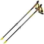 Палиці для скандинавської ходьби Vipole Instructor Vario QL Silent DLX