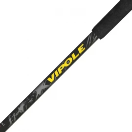 Палиці трекінгові Vipole Discovery Cork DLX