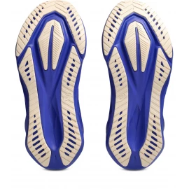 Кросівки Asics Novablast 5 2026
