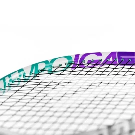 Ракетка Tecnifibre Tempo IGA 25 with cover