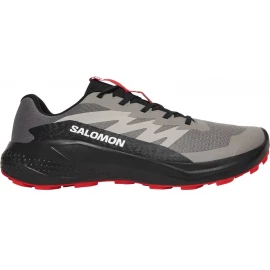 Кросівки Salomon Alphaglide 