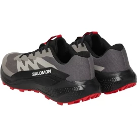 Кросівки Salomon Alphaglide 