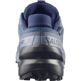 Кросівки Salomon Speedcross 6 GTX 