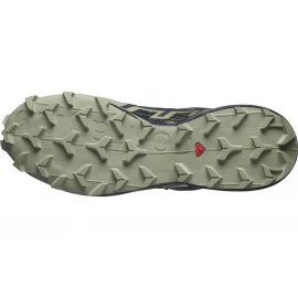 Кросівки Salomon Speedcross 6 GTX 