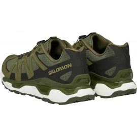Кросівки Salomon XC Roam 