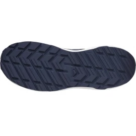 Кросівки Salomon XC Roam 