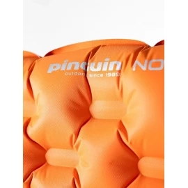 Килимок Pinguin Nordic Mummy 