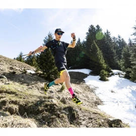 Шкарпетки TSL Trail Socks
