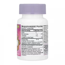 Пробиотики для детей 21st Century Zoo Friends Probiotic - 30 chewable tabs