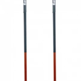 Лыжные палки BCA Scepter 4s