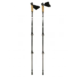 Палиці для скандинавської ходьби Tribe Nordic Pole Carbon 