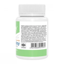Мультивітаміни Stark Pharm One-a-Day Essential - 60 caps
